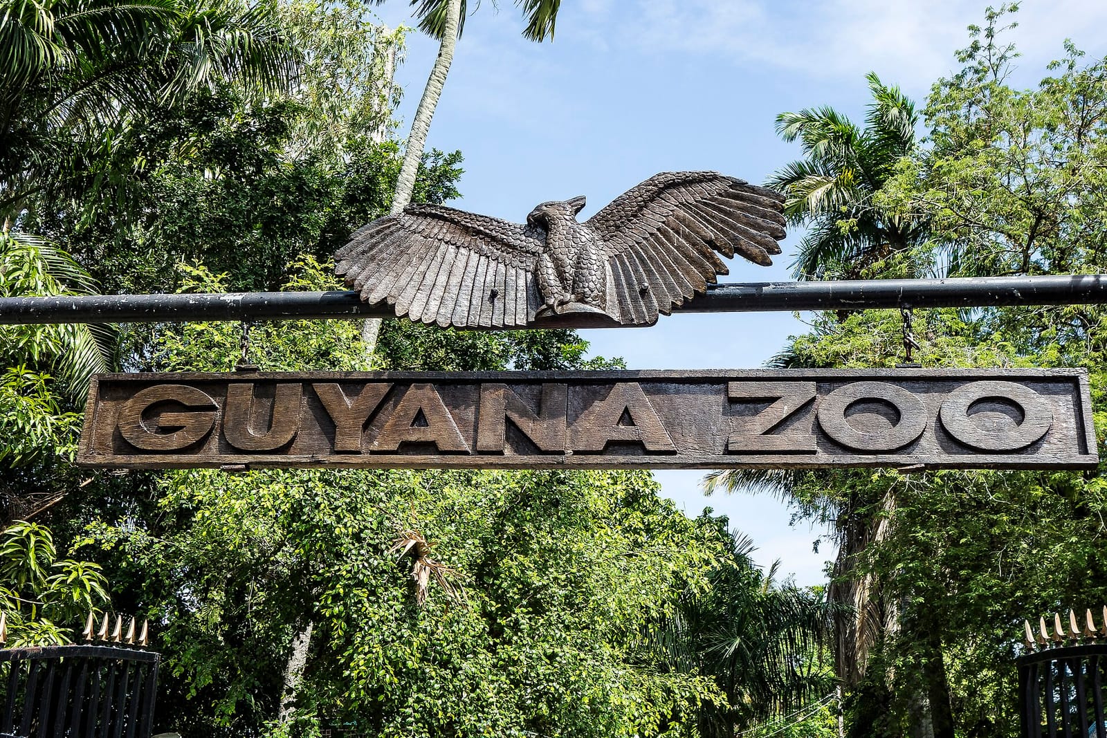 Guyana Zoo